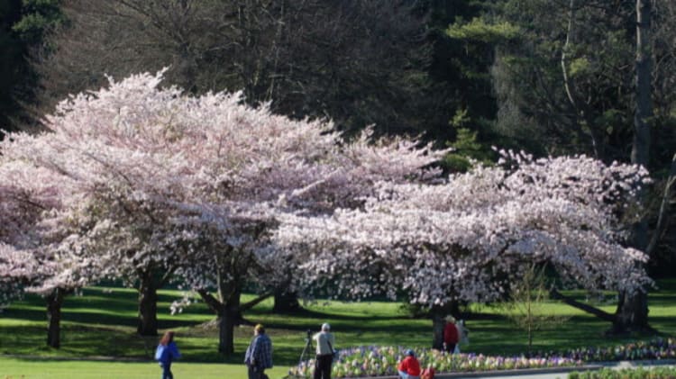 Greater Vancouver Real Estate Market: March 2014 image