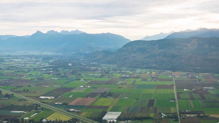Condos, Townhouses Drive Robust Fraser Valley Sales thumbnail