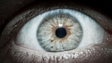 The 10 Scariest Things a Home Inspector Can Find hero image