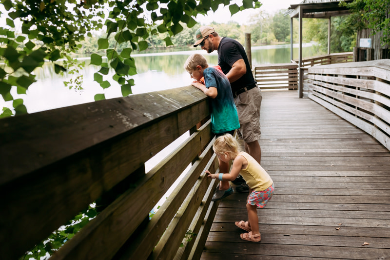 Established developers, Platform Properties and DOMUS Homes are