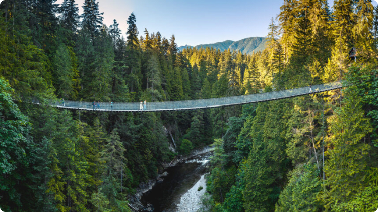 Living in North Vancouver means easy access to nature.