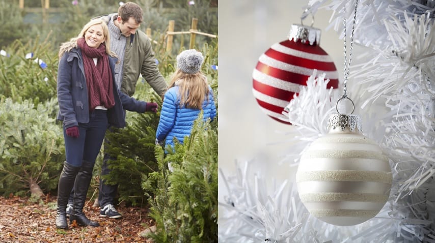 Christmas Trees: Artificial or Real? The Pros and Cons hero image
