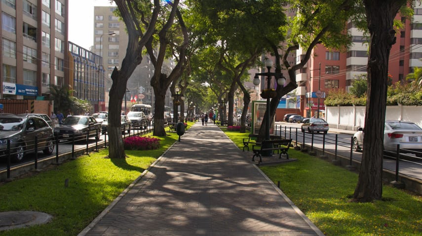 Improve Health by Building Healthy Homes and Neighbourhoods: Report hero image