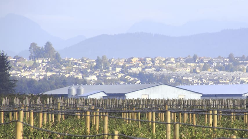 Home Demand in Fraser Valley Stays Strong in June, Sales Up 21%: Board hero image