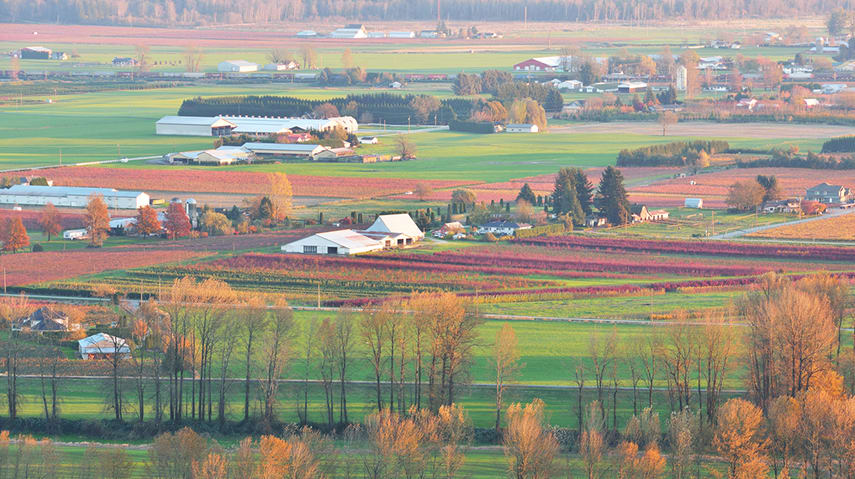 Fraser Valley Condos Snapped Up Faster Than Listed hero image