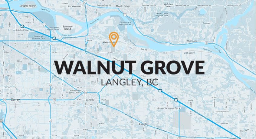 Neighbourhood Focus Infographic: Walnut Grove hero image