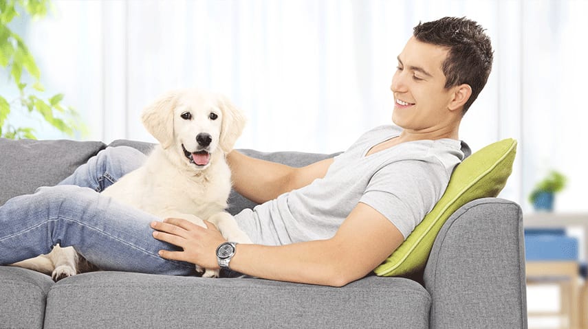 Strata Living: What You Need to Know About Age and Pet Restriction Bylaws hero image