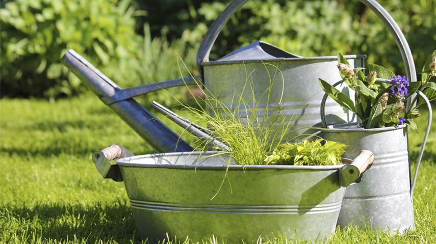 Seven Ways to Get your Lawns and Gardens Ready for Summer hero image