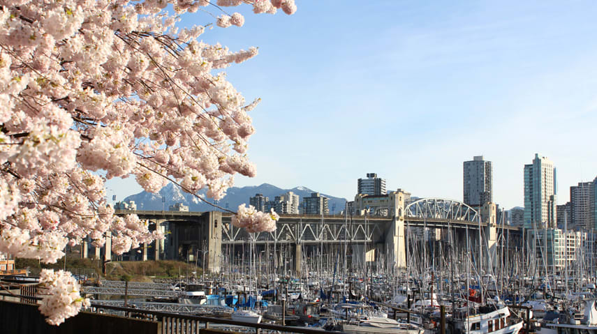 Vancouver Real Estate Sales in March Smash All Records: REBGV hero image