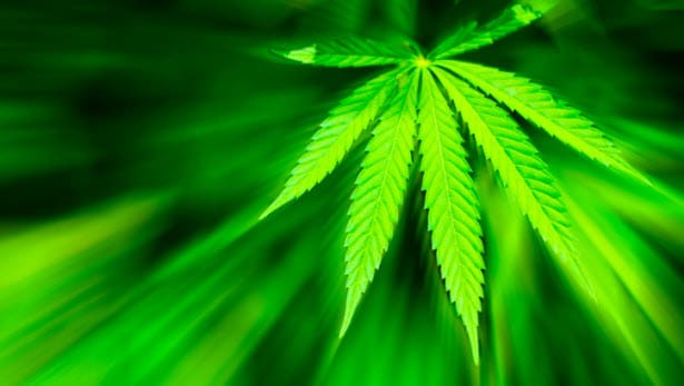 Think that Former Grow-Op is a Deal? Think Again. hero image