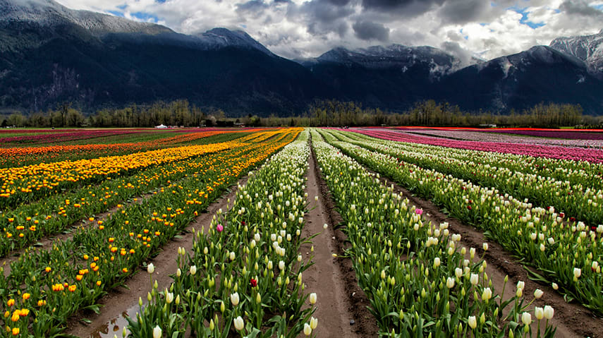 Fraser Valley Home Prices Reach Record High: FVREB hero image