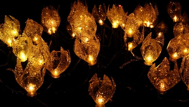 Christmas Lights Across the Lower Mainland hero image