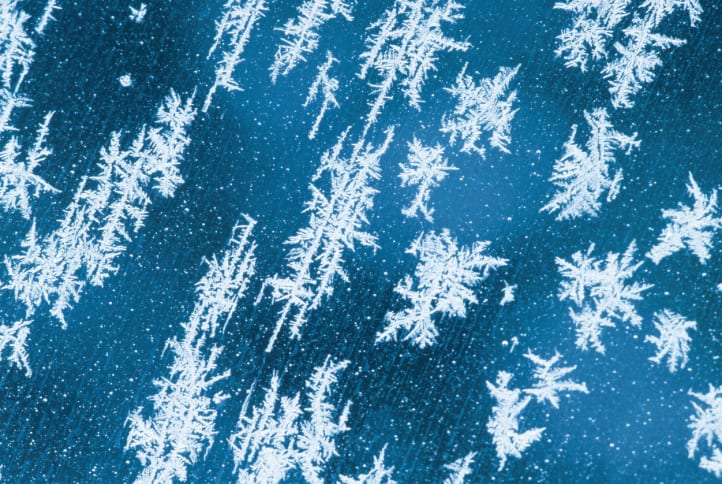#Snowmageddon Blankets the Lower Mainland hero image