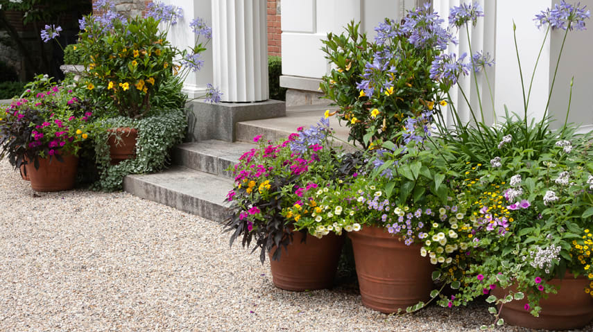 Home Staging Tips #2: Creating Curb Appeal hero image