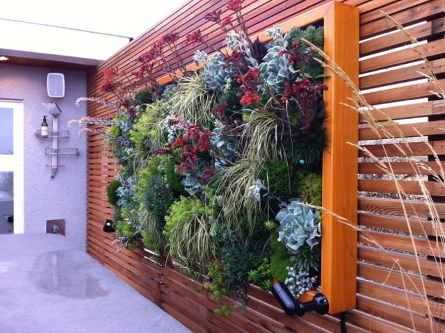 Easy garden makeover for home resale - living wall