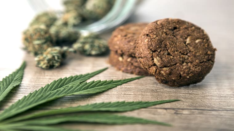 Legal Cannabis is Smoking Up Neighbourhoods in Toronto & Vancouver hero image