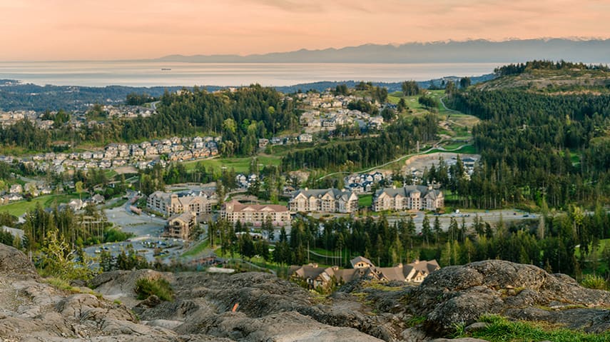 What's Happening on Bear Mountain, Vancouver Island? hero image