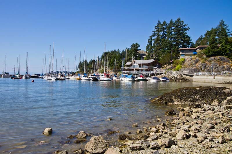 Eagle Harbour hero image