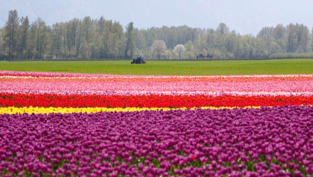 Fraser Valley Real Estate Market: March 2014 hero image