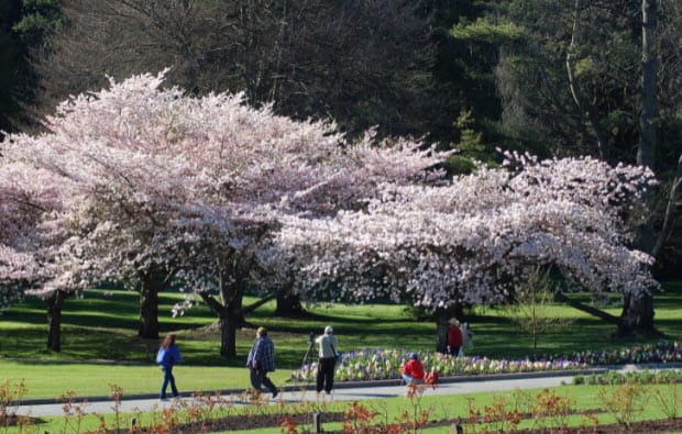 Greater Vancouver Real Estate Market: March 2014 hero image