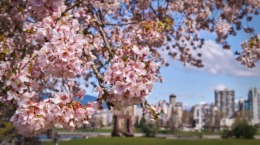 BC Home Sales and Prices are Both Up – and Down hero image