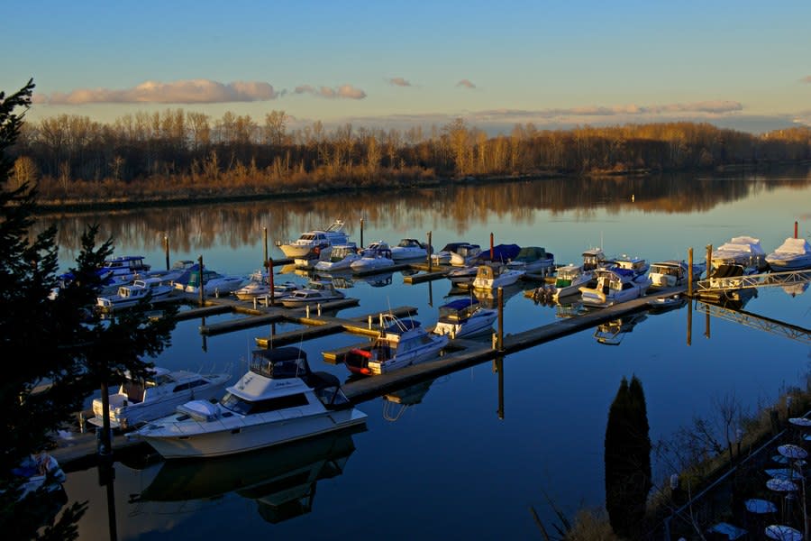 Fraser River in Ladner