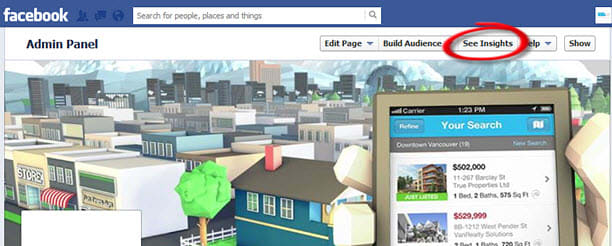 Facebook Page Insights link