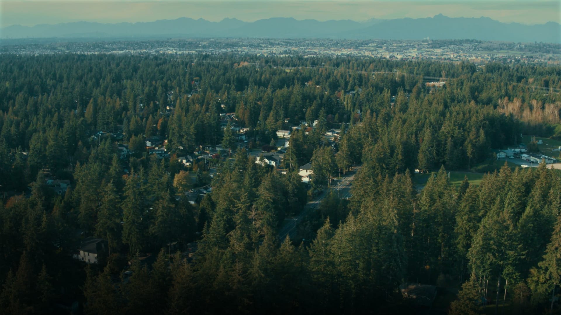 RealTours™: Langley Township thumbnail
