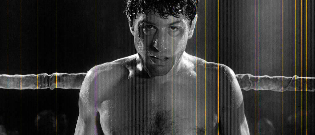 Raging bull. hero image