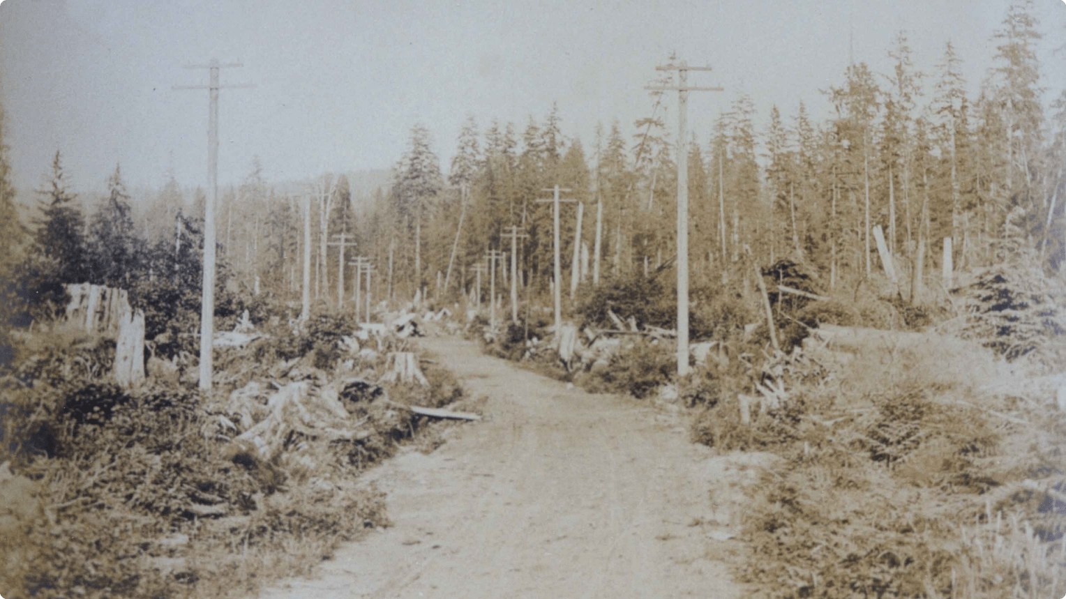 As late as the 1900s, wagon roads and wilderness could still be found in Burnaby North near Hastings St.