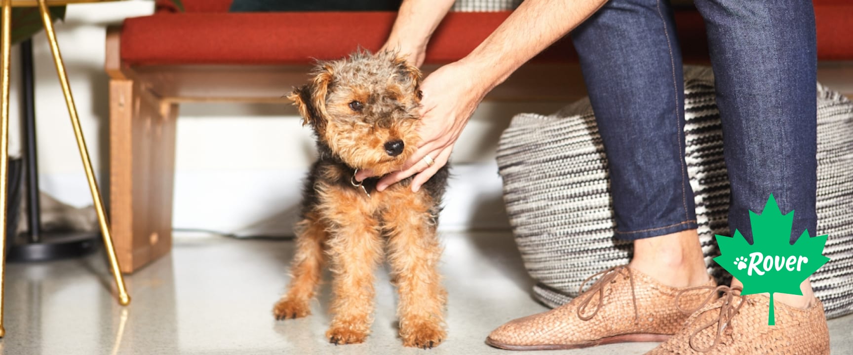 How can you make moving with dogs stress free? hero image