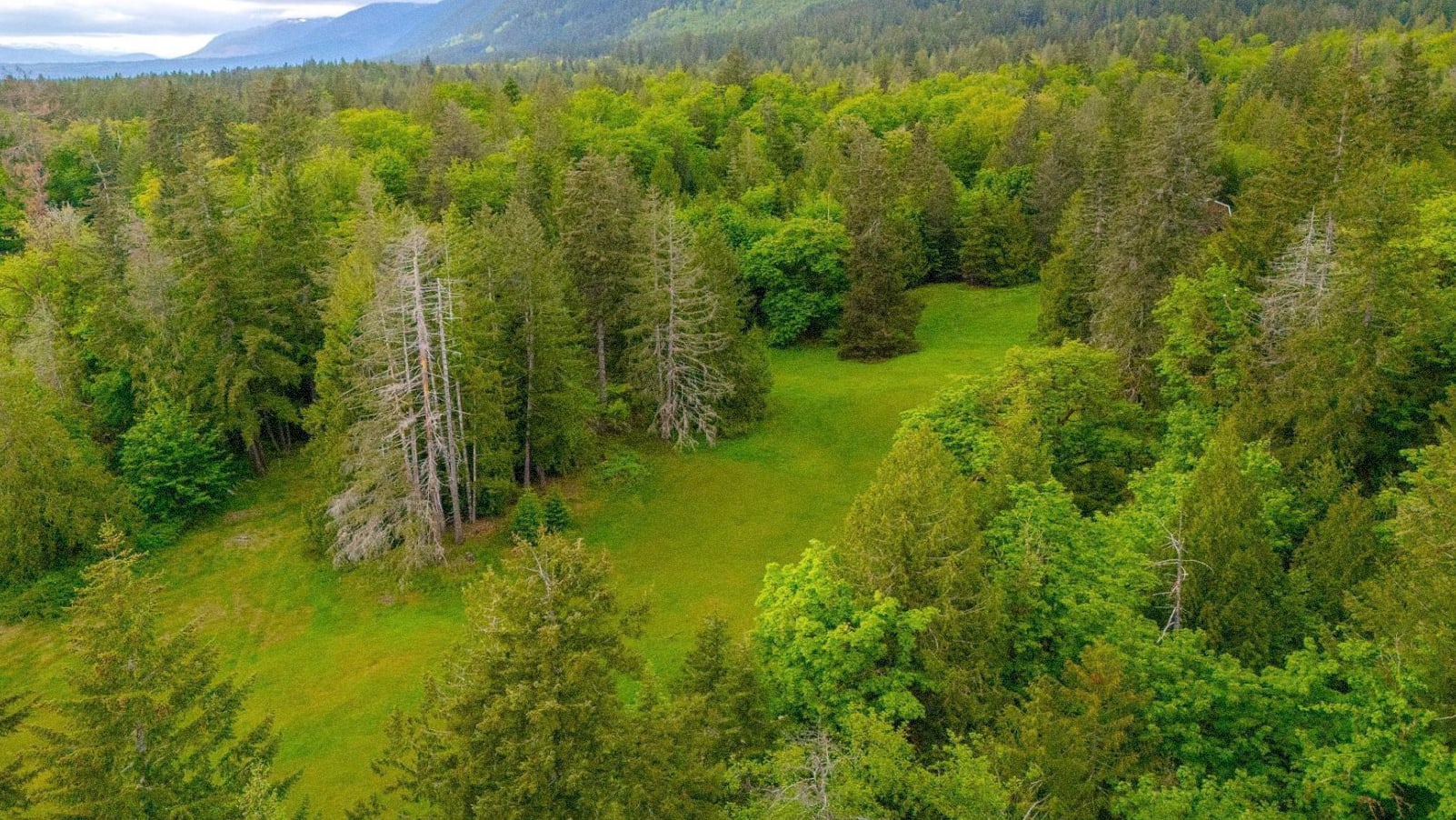 Vancouver Island - It’s giving dream property.