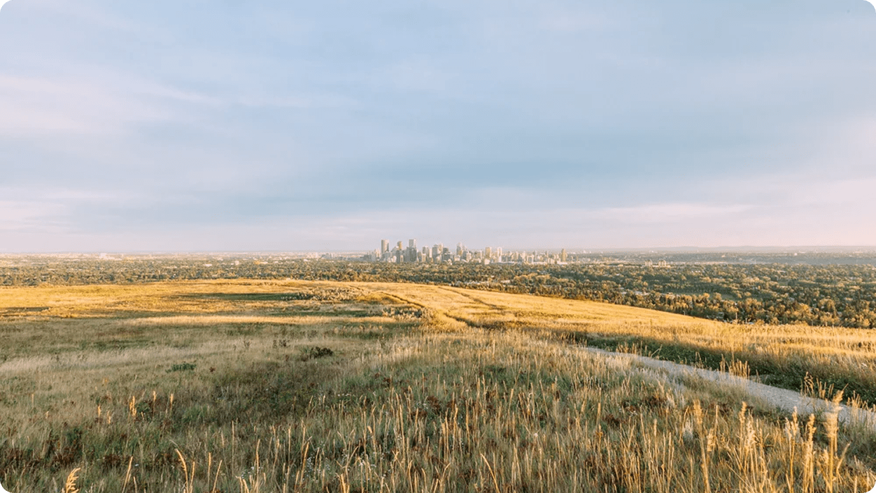 A deep shot of Calgary in the background with flat plains and bushland in the foreground.