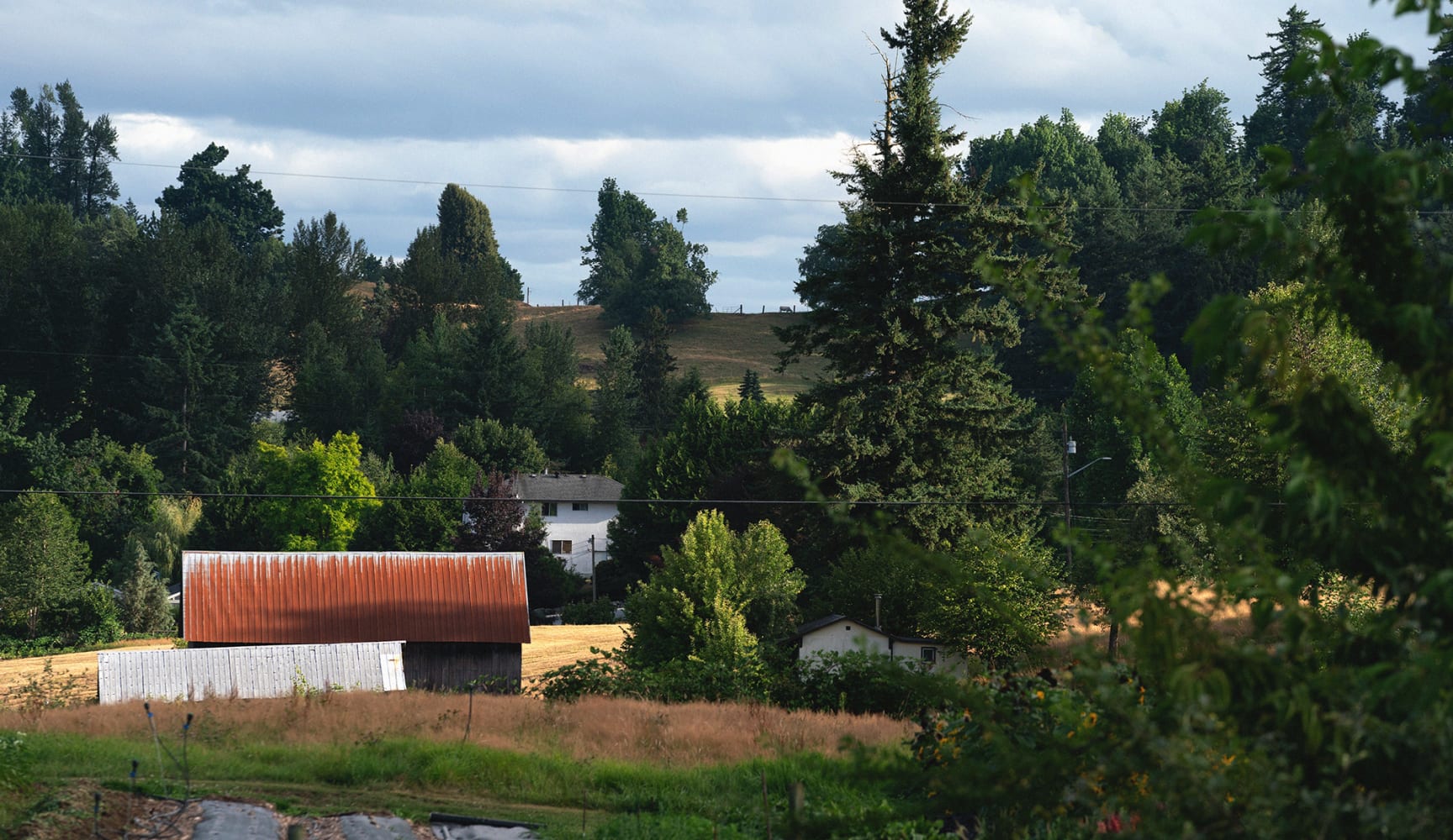 Mission, BC: A Hidden Gem in the Fraser Valley hero image