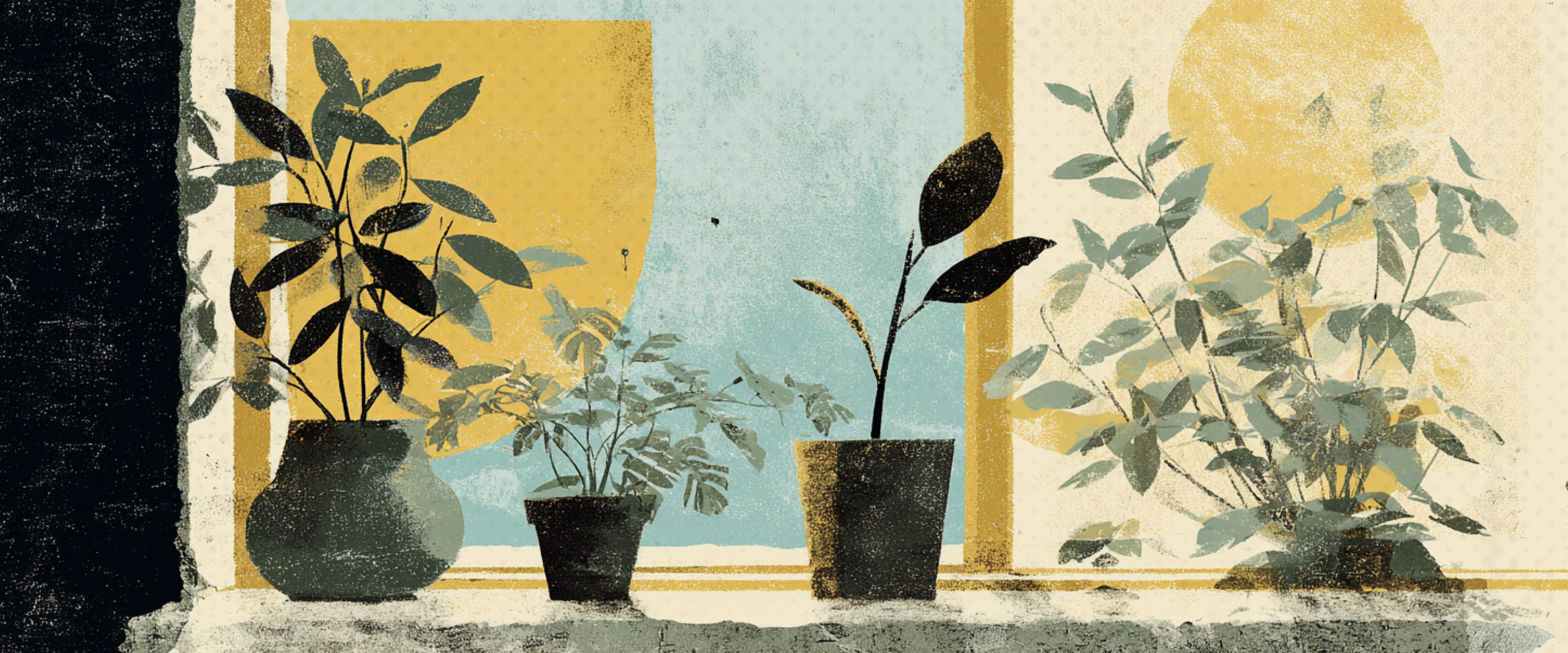 Top five tips for taking care of your houseplants. hero image