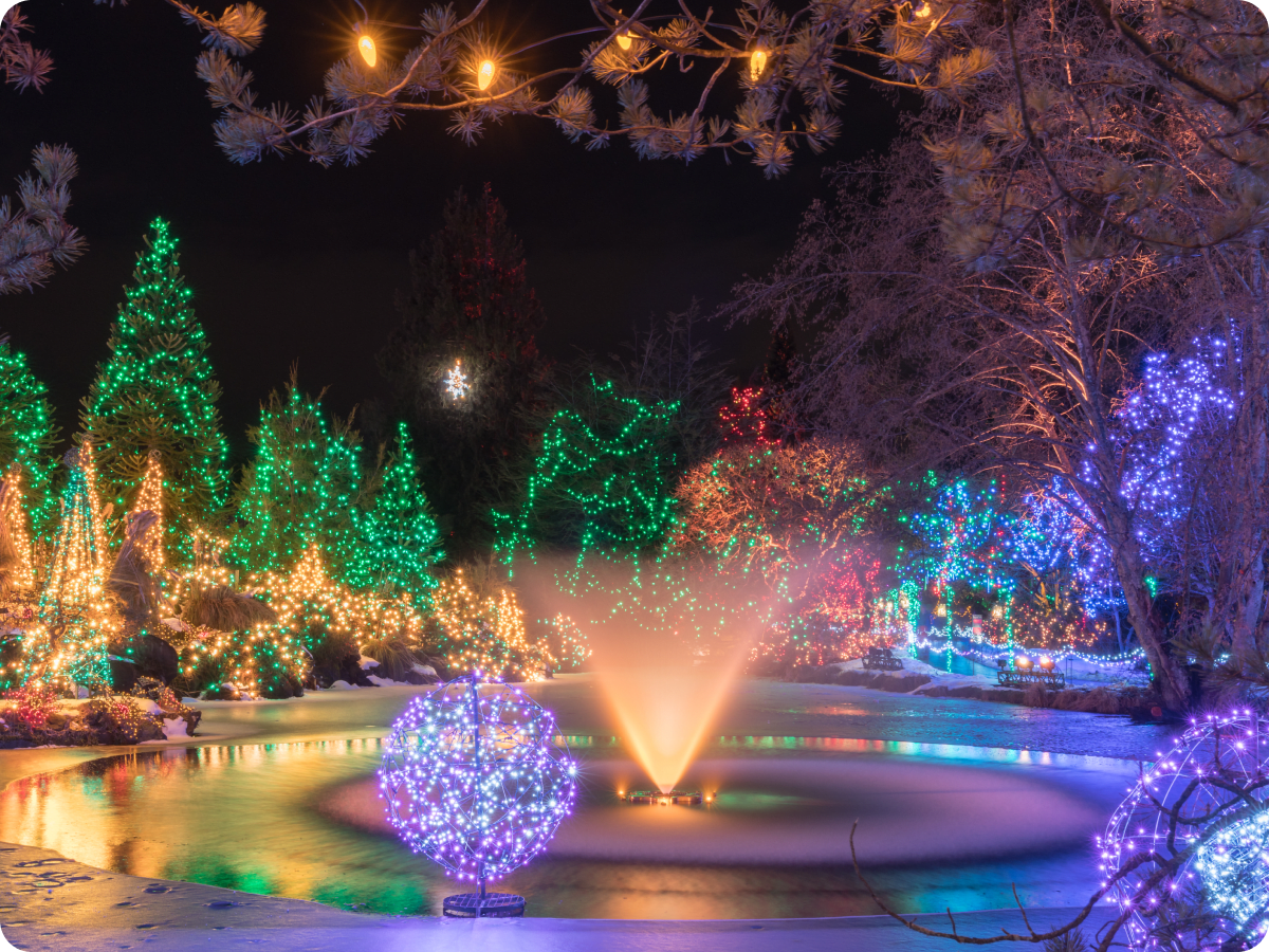 fountain of light