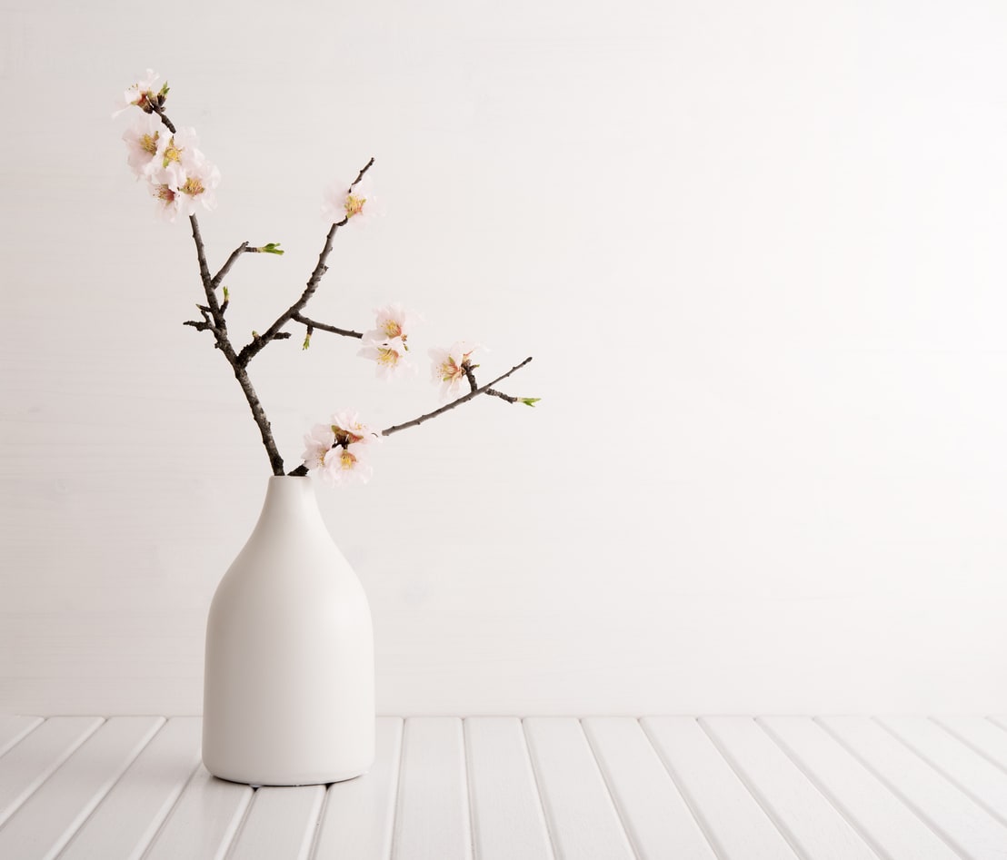 Plants in Vase