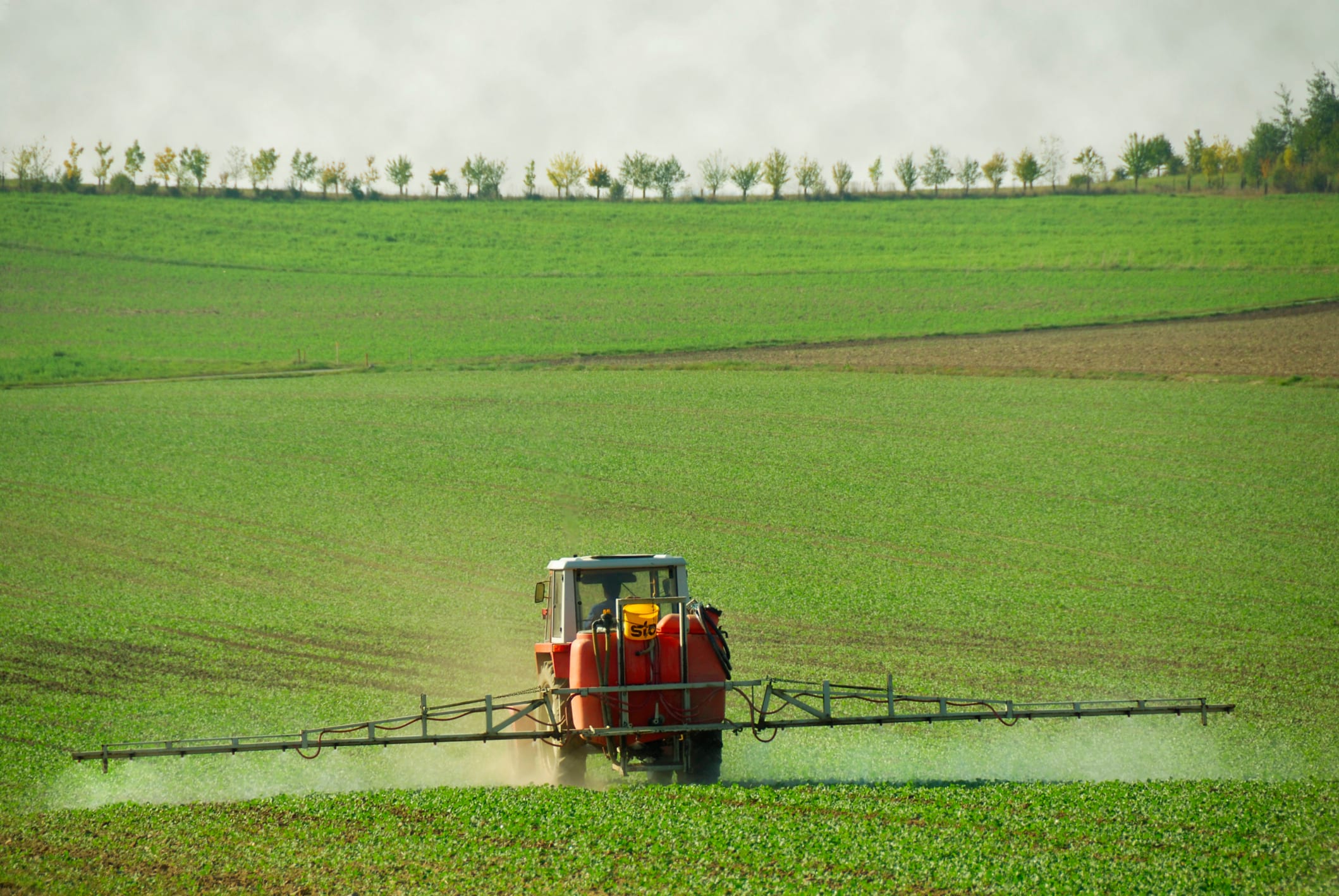 Paydirt: Top Dollar for Fraser Valley Farmland hero image