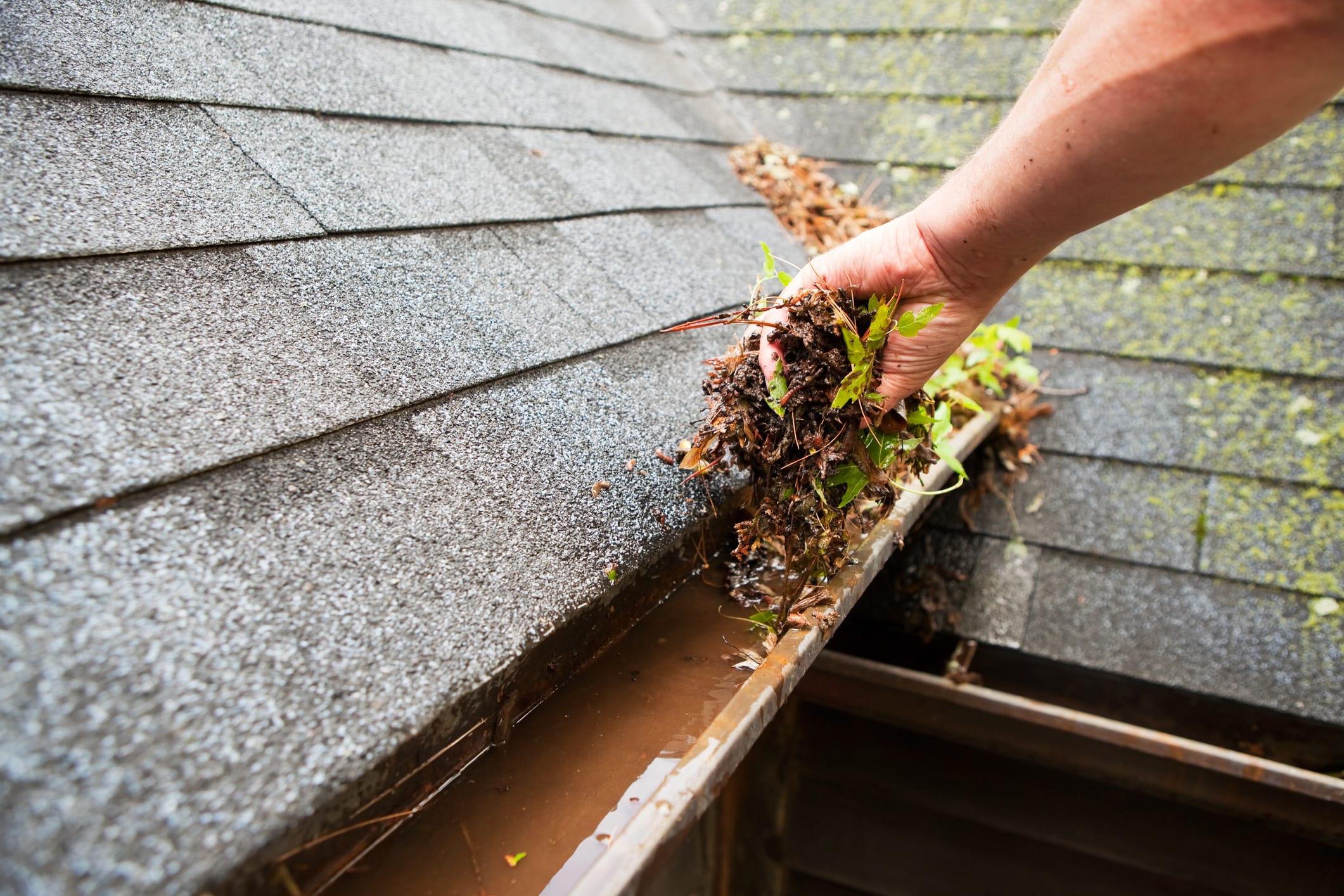 10 Things Homeowners Should Do Every Year hero image