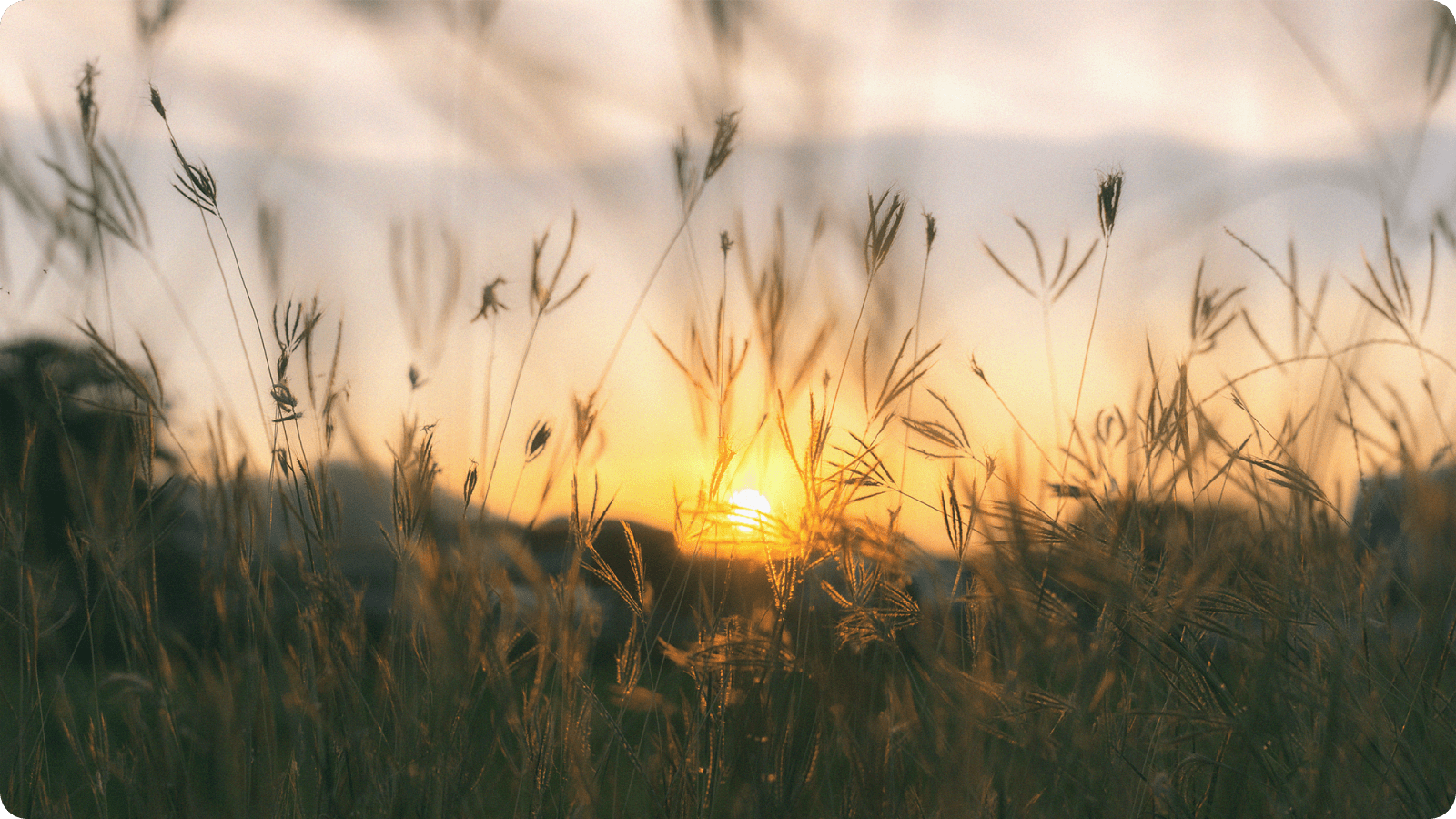 Alberta: A real estate haven for homeseekers hero image