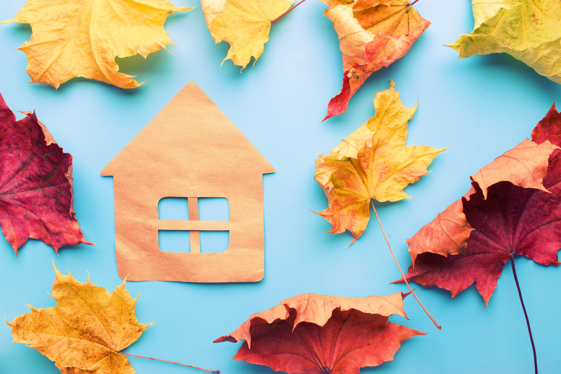 The Top 6 Things That Will Impact Fall Real Estate in Canada hero image