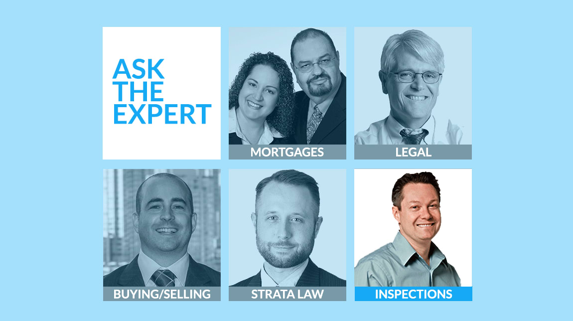 Ask the Expert: What Are the Most Crucial Fall Maintenance Tasks? hero image