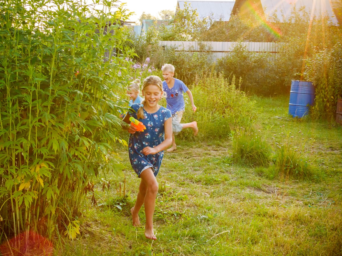 landscaping