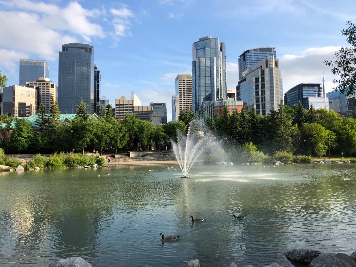 The Best Parks for a Relaxing Picnic in Calgary hero image