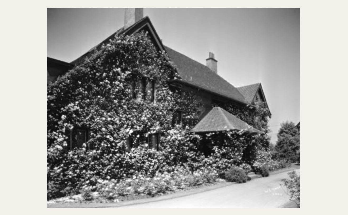 Angus Drive old
