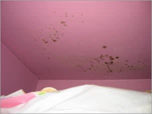 Home inspector nightmares--mould on ceiling