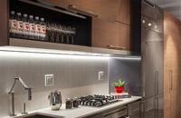 Georgie Award Best Multifamily Kitchen-Solterra