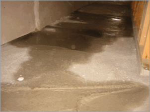 Home inspection nightmares--water in new basement