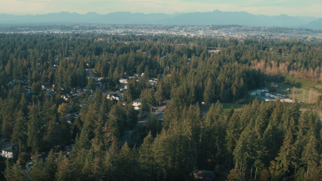 Overview