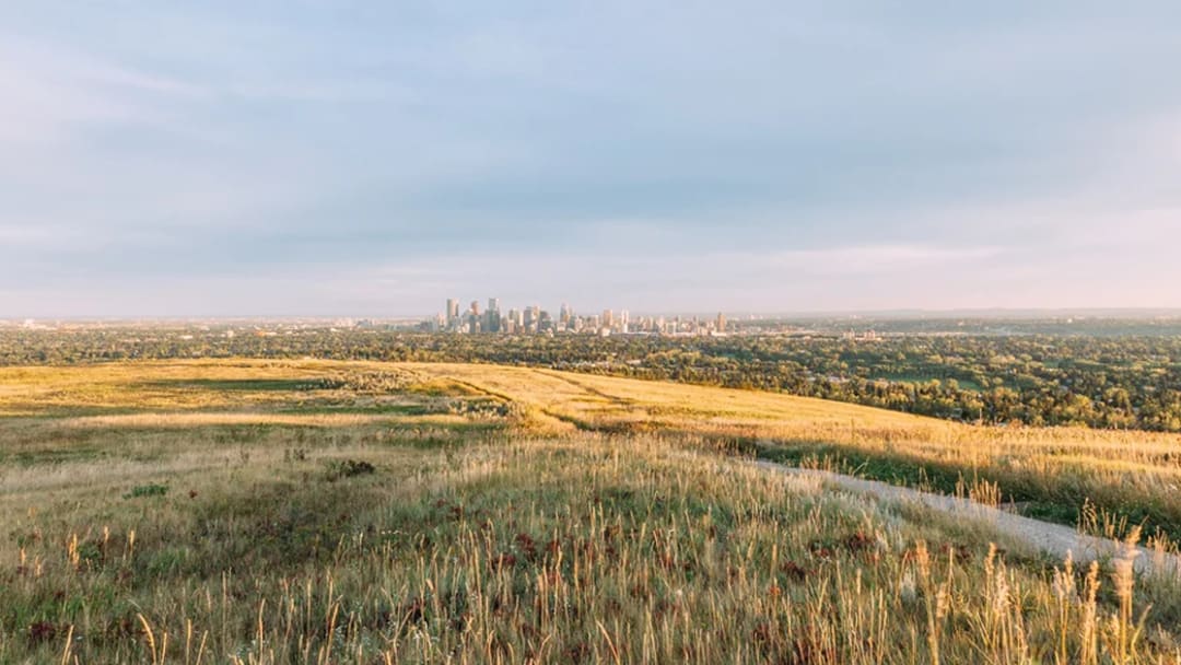 A deep shot of Calgary in the background with flat plains and bushland in the foreground.